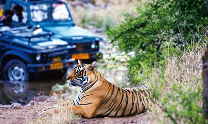 JAIPUR SIGHTSEEN TAXI